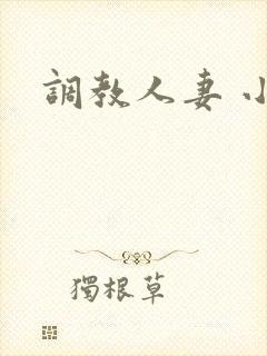 调教人妻 小说封面