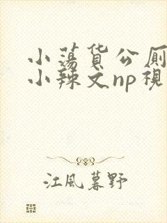 小荡货公厕h文小辣文np视频