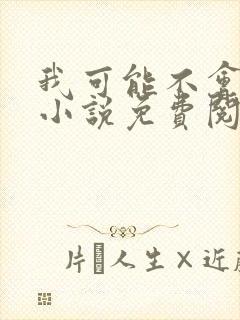我可能不会爱你小说免费阅读