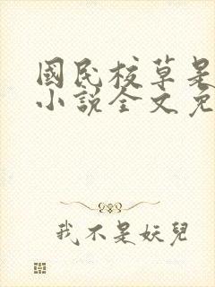 国民校草是女生小说全文免费阅读