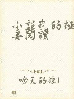小说我的极品娇妻阅读