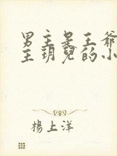 男主是王爷叫女主玥儿的小说