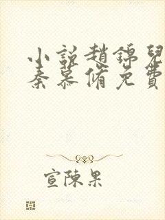小说赵锦儿, 秦慕修免费阅读封面