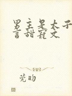 男主是太子的古言甜宠文