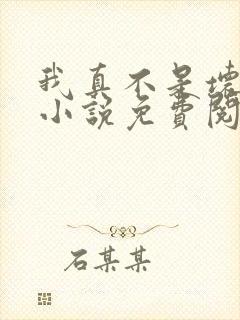 我真不是坏男人小说免费阅读