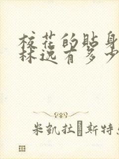 校花的贴身高手林逸有多少老婆