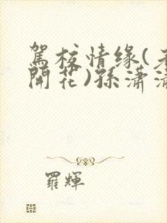 驾校情缘(老树开花)孙潇潇第一次趣笔阁