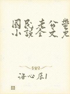 国民老公带回家小说全文免费阅读封面