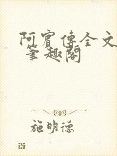 阿宾传全文阅读 笔趣阁
