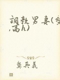 调教男妻(双性,高h)