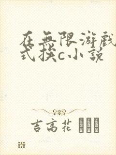 在无限游戏里花式挨c小说封面