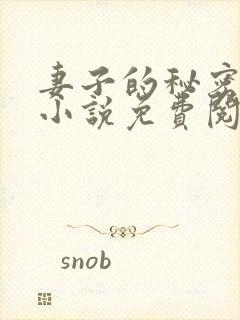 妻子的秘密吴双小说免费阅读