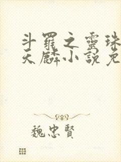 斗罗之灵珠神剑天麟小说免费阅读无弹窗