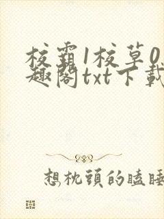 校霸1校草0笔趣阁txt下载免费阅读封面