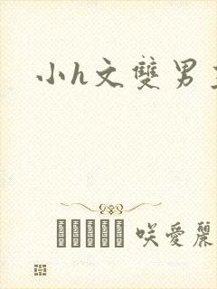 小h文双男主