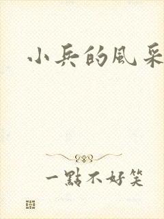 小兵的风采封面