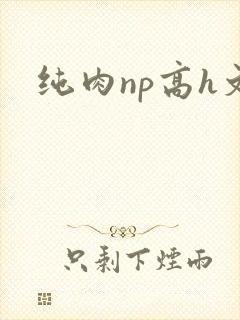 纯肉np高h文