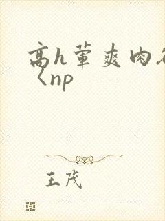 高h荤爽肉欲文〈np