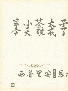 宁小茶太子殿下今天破戒了吗免费阅读