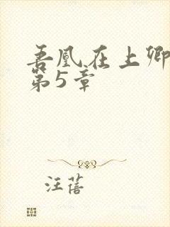 吾凰在上卿在下第5章