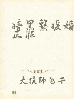 暗黑系暖婚小说正版