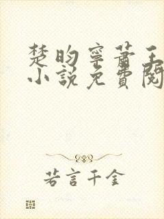 楚昀宁萧王穿越小说免费阅读无弹窗封面