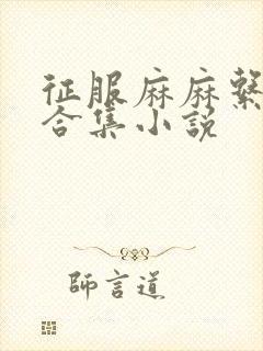 征服麻麻系列大合集小说