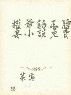 权爷的正牌小娇妻小说免费阅读