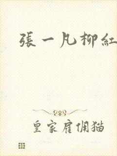 张一凡柳红
