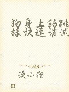 狗身上的跳蚤怎样快速消灭