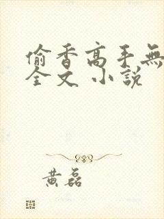 偷香高手无删减全文 小说