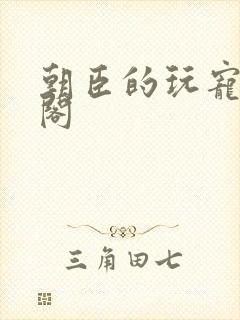 朝臣的玩宠笔趣阁封面