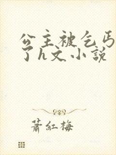 公主被乞丐糟蹋了h文小说封面