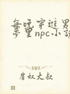 每晚穿进男神的梦里npc小说封面