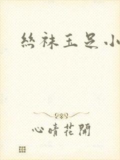 丝袜玉足小说