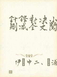 针锋对决小说未删减全文阅读