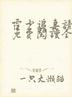 霍少追妻请低调免费阅读全文