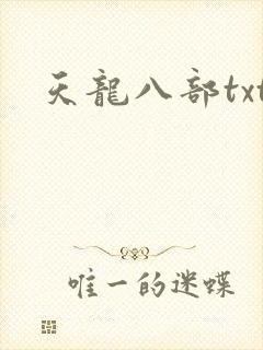 天龙八部txt