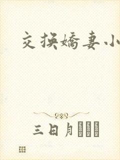 交换娇妻小说封面