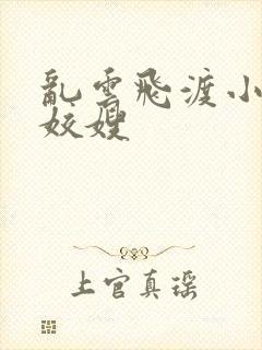 乱云飞渡小说之姣嫂