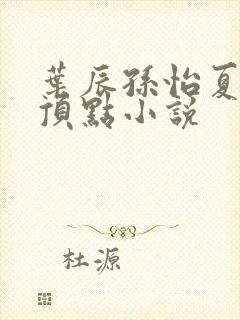 叶辰孙怡夏若雪顶点小说