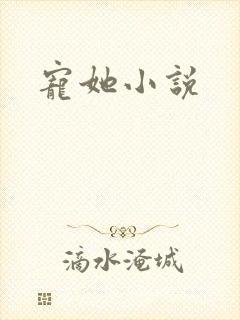 宠她小说封面
