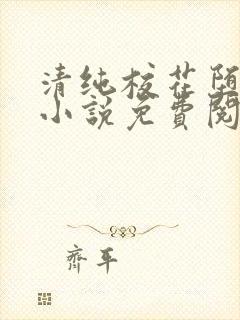 清纯校花堕落记小说免费阅读allimine