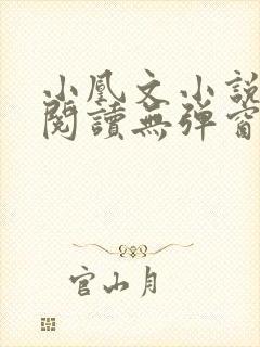 小凰文小说在线阅读无弹窗