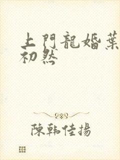 上门龙婚叶辰萧初然