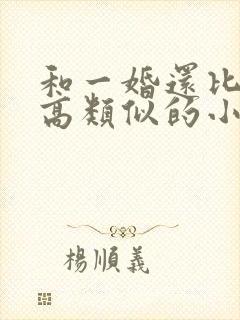 和一婚还比一婚高类似的小说