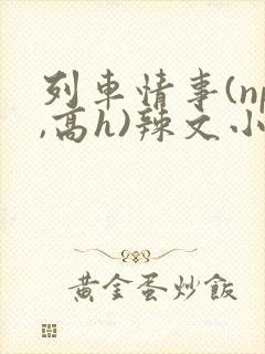 列车情事(np,高h)辣文小