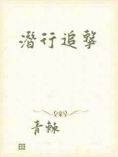 潜行追击