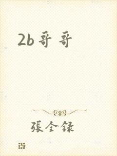 2b哥哥