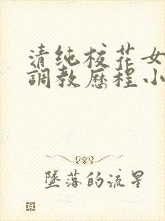 清纯校花女友的调教历程小说